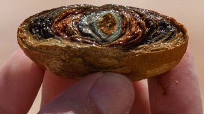 Bayer y la Innovación Social: Un Compromiso con el Impacto Positivo