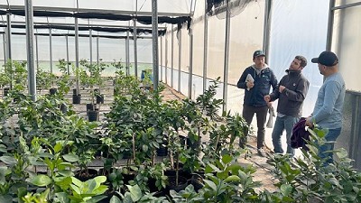 Chile y Argentina comparten conocimientos sobre prevención y diagnóstico de plagas cuarentenarias