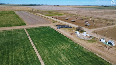Con riego por goteo subterráneo, se triplican los rindes en trigo