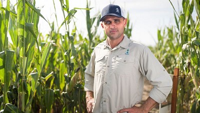 Planificando un maíz rentable: ¿Por qué el Nitrógeno en vital en la definición del rendimiento?