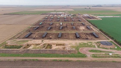 “Los Aromos”, la “hotelería de hacienda” que le pone música clásica a los animales