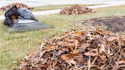 Cómo hacer un poderoso abono orgánico de hojas secas