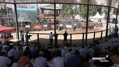En ExpoBRA 2024 se mostró el sólido trabajo de los cabañeros