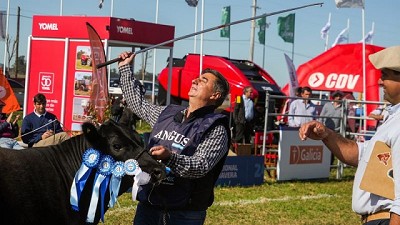 Cabaña Santa Cándida y Cabaña La Alianza se llevaron los premios más importantes de la Exposición del Ternero Angus