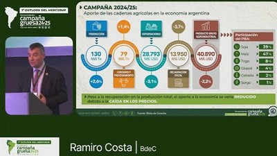 La estimación de cosecha para la Soja 2024/25 ascendería a 52 MTn