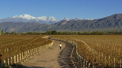16 provincias, con sus regiones y bodegas, despliegan todo su atractivo enoturístico en la feria más importante de Latinoamérica