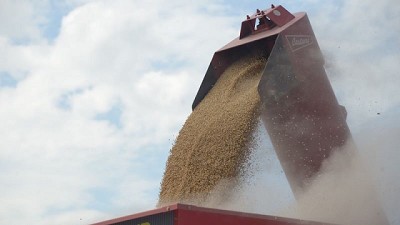 Exportaciones: Agricultura creó el Directorio de Esquemas de Diferenciación para la Agroindustria