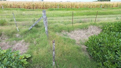 La Pampa Ondulada perdió más de 1200 km de alambrados rurales en 20 años