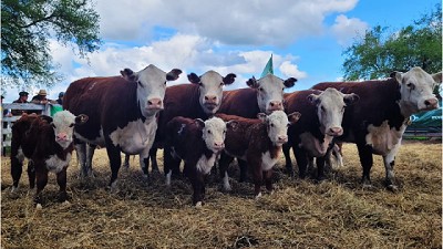 Pruebas pastoriles: el camino hacia una carne de mayor calidad