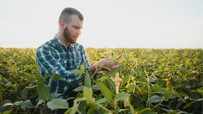 Campaña gruesa: con el cambio climático el productor busca protegerse en una compañía 100% confiable