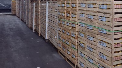 Los centros de tratamiento cuarentenario deberán etiquetar envases con fruta