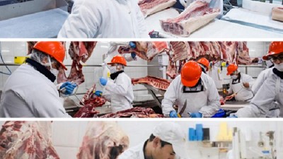 Exportaciones de carne bovina argentina: crecimiento sostenido en septiembre 2024