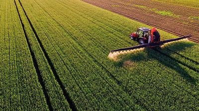 Campaña agrícola 2024/2025: El avance de los barbechos y las primeras siembras