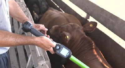 ¿Cómo funciona en Uruguay el sistema de trazabiliad electrónica?