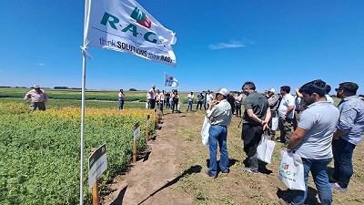 Tres oportunidades para ver cultivos de invierno de RAGT Semillas a campo