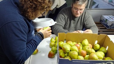 La exportación de peras y manzanas a México creció un 32% durante la temporada 2024