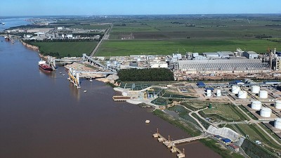 Impacto de los DEX: el agro aportó más de 150.000 millones de dólares en 21 años