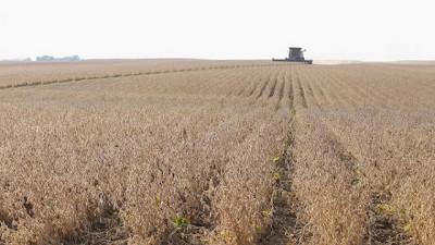 Lluvias traen alivio a la zona núcleo, y mejoran las perspectivas para la siembra - CCA/Agrositio