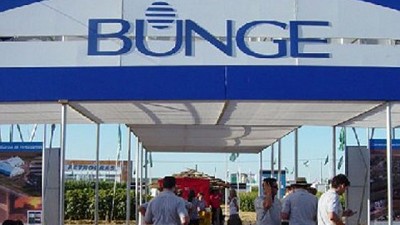 Bunge reporta ganancias del tercer trimestre que superan las expectativas por aumento en ventas de cultivos