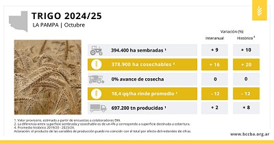 La Pampa: El trigo atraviesa el período crítico con una proyección de 697 mil toneladas de producción