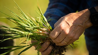 Syngenta cerró con 10 mil hectáreas su primer año de medición de huella de carbono