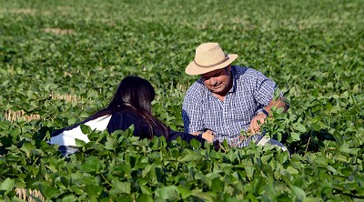 El Gobierno simplifica el Registro Único de la Cadena Agroalimentaria (RUCA)
