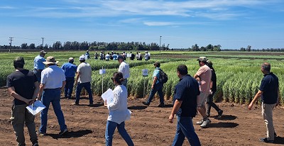 Expocereales visibilizó las oportunidades cercanas y posibles del trigo y la cebada