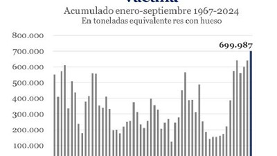 Exportaciones de Carne vacuna acumularon en los primeros 9 meses el volumen más alto en los últimos 57 años