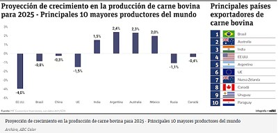 Un panorama global de la carne bovina en Paraguay
