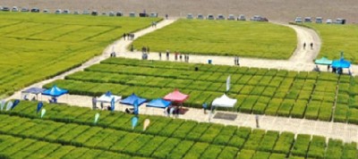 Jornada de Cebada 2024: El 12 de noviembre nos encontramos en Orense