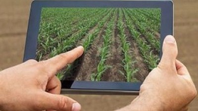 Desafíos y perspectivas: el rol de la IA en la Agricultura argentina