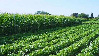 Ensayos de larga duración, fundamentales para la agricultura del futuro