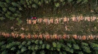 La UE retrasa la aplicación de la ley de deforestación para dar más tiempo a las empresas