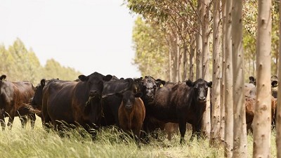 El precio de la Hacienda pierde ante la inflación