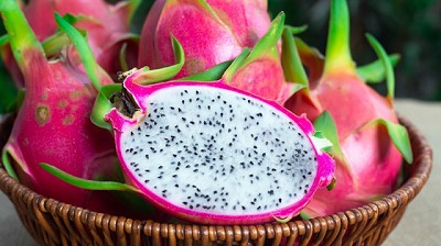 En Argentina estudian cómo optimizar el cultivo de pitahaya