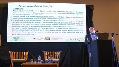 El precio de la soja seguirá presionado a la baja en 2025