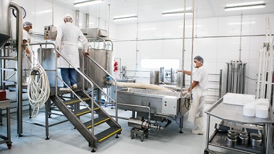 Leche de Búfala: la única empresa que domina el mercado argentino pretende crecer en calidad