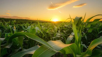 Encuesta SEA CREA: expectativas altas a la espera de condiciones más favorables