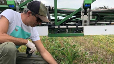 Doble golpe con MDM de xarvio® para controlar el raigrás resistente, una experiencia en primera persona.