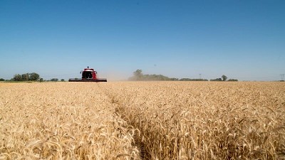 Las exportaciones agroindustriales crecieron un 51% en volumen en lo que va del año