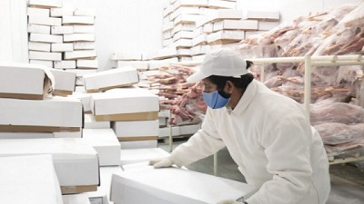 Nuevo mercado: Argentina puede exportar carnes ovinas y caprinas a Marruecos
