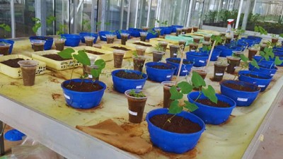 Investigadoras argentinas impulsan la biofertilización en Etiopía