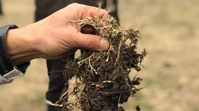 Cuando el medio ambiente, el suelo y el bolsillo agradecen que se use biológicos