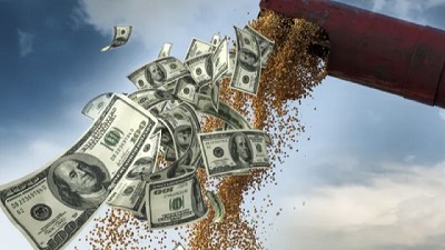 Operaciones agropecuarias en dólares: cómo tributan impuestos las diferencias de cambio luego del DNU 70/2023