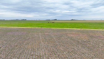 CONTE Bienes Raíces: 50 Años de Liderazgo y Crecimiento en la Comercialización de Activos Rurales