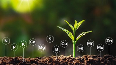 Balance deficitario de nutrientes en el suelo agrícola argentino