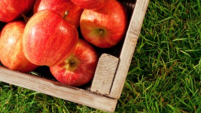 Manzanas argentinas buscan igualar condiciones de la fruta chilena