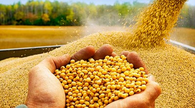 Una jornada de incertidumbre en lo local e internacional para la Soja; por Manuel Alvarado Ledesma - Agrositio