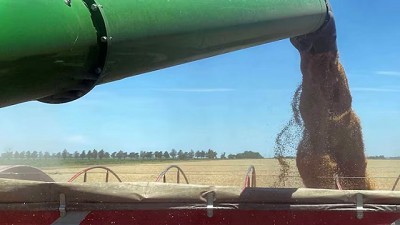 Retenciones: comenzó la baja temporal, pero el decreto vino con “letra chica”