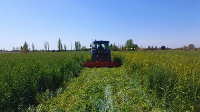 Diseñan un protocolo de agricultura regenerativa, único en Latinoamérica